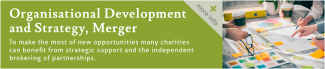 Organisational development, strategy & merger